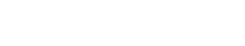 Snelstart logo
